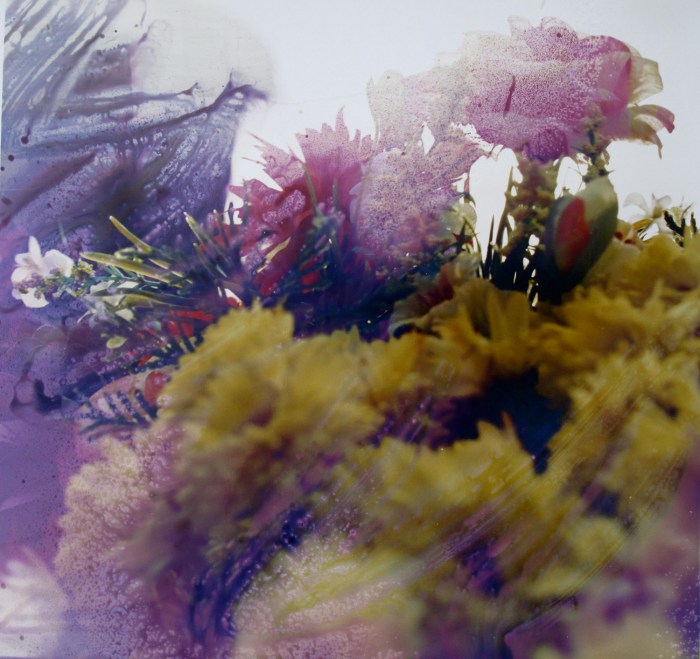 2011, 420x420mm Type C-Print