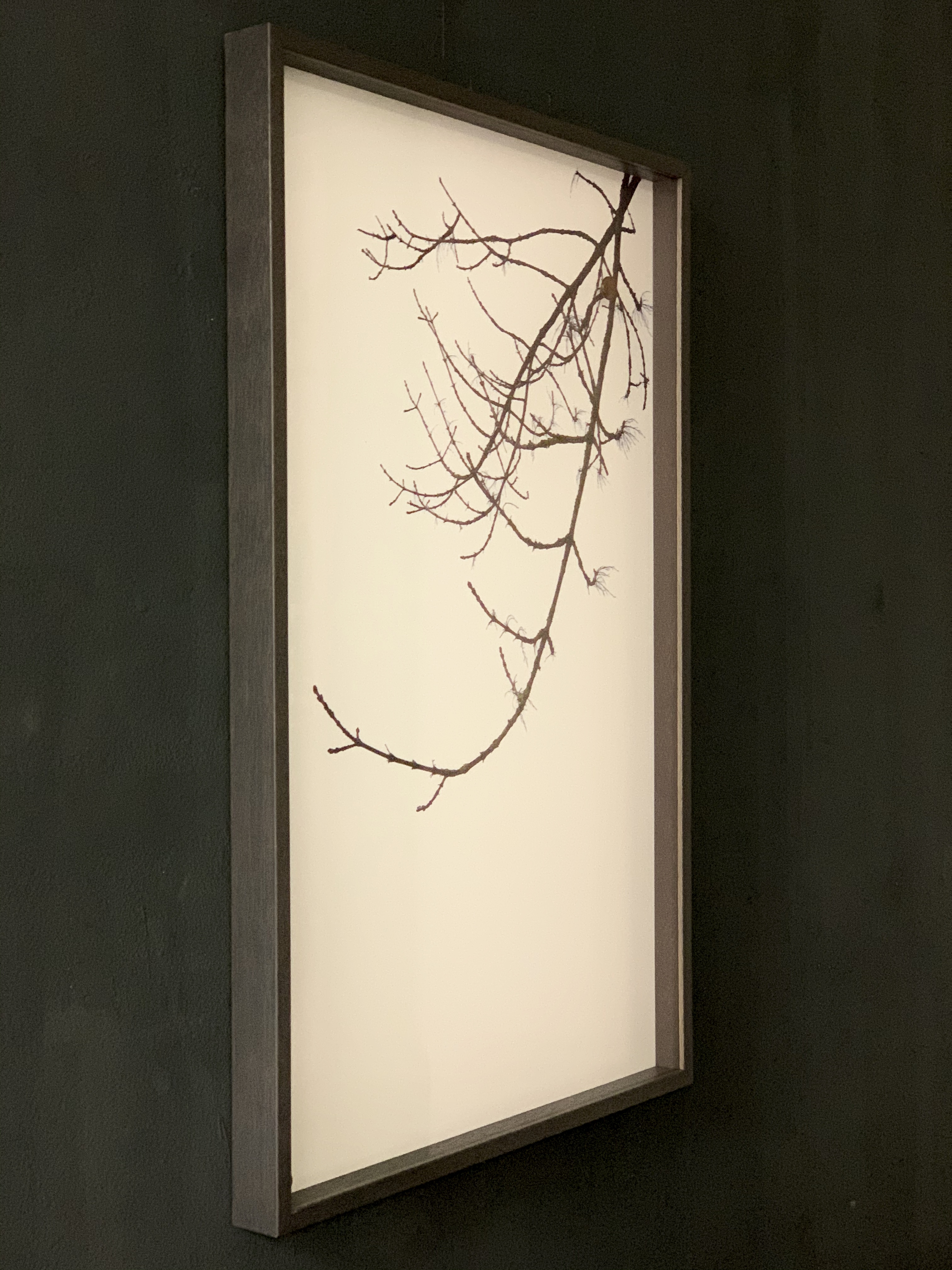YUMI WATANABE – ARTIST